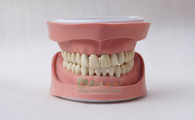 TM-A4 Standard Model, K Style